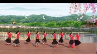 高安锦江外滩广场舞团队版 《吉祥如意》 编舞：应子