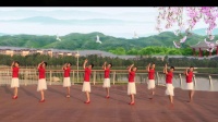 高安锦江外滩广场舞9人团队版《牵着妈妈的手》