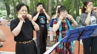 南京强国口琴乐队排练〈清晨我们踏上小道〉