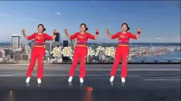 安徽金社广场舞《点歌的人》网红超级火爆的弹跳舞_标清