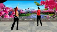 江汉龙辉广场舞健身操示教版第十五套第十节风水轮流转