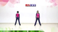 杨丽萍广场舞《第三套美体操第七节》背面