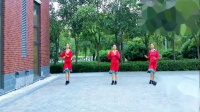 353-邯郸市舞之缘广场舞《草原绿了》团队版 编舞 応子