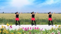 河北青青广场舞《等爱的玫瑰》32步，时尚动感步子舞