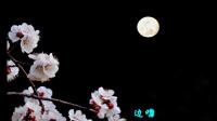 《透过开满鲜花的月亮》李维君二胡.mp4