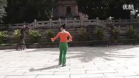 广场舞《最爱小花》背面慢动作教学视频