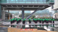 上海红舞鞋广场舞《梦中的雪莲花》40人版  编舞：饶子龙老师