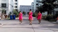 紫琼广场舞《美丽的雪山姑娘》     编舞 重庆叶子       视频拍摄 麦田守望             团体表演