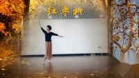 真珠广场舞 形体舞《红枣树》